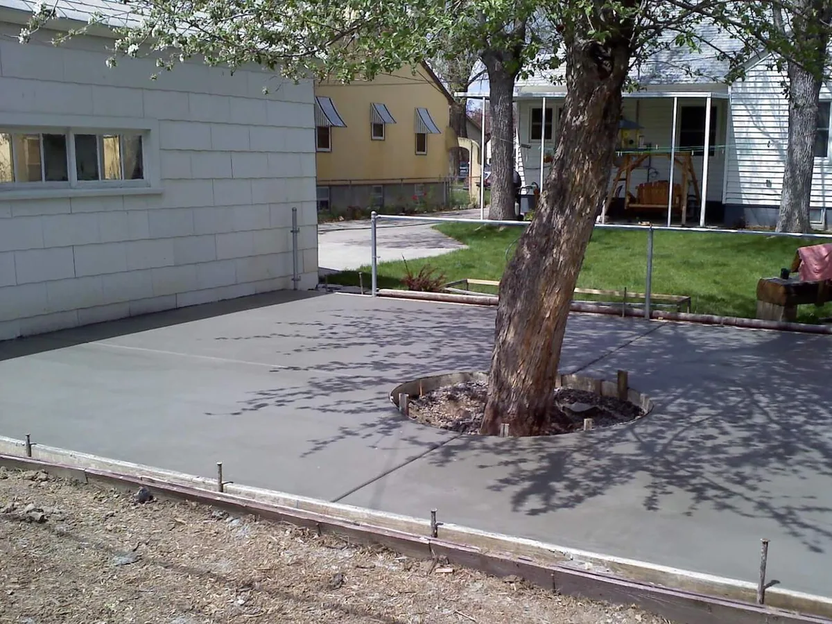 Fresh broom finish concrete patio poured around a tree with the forms still in place