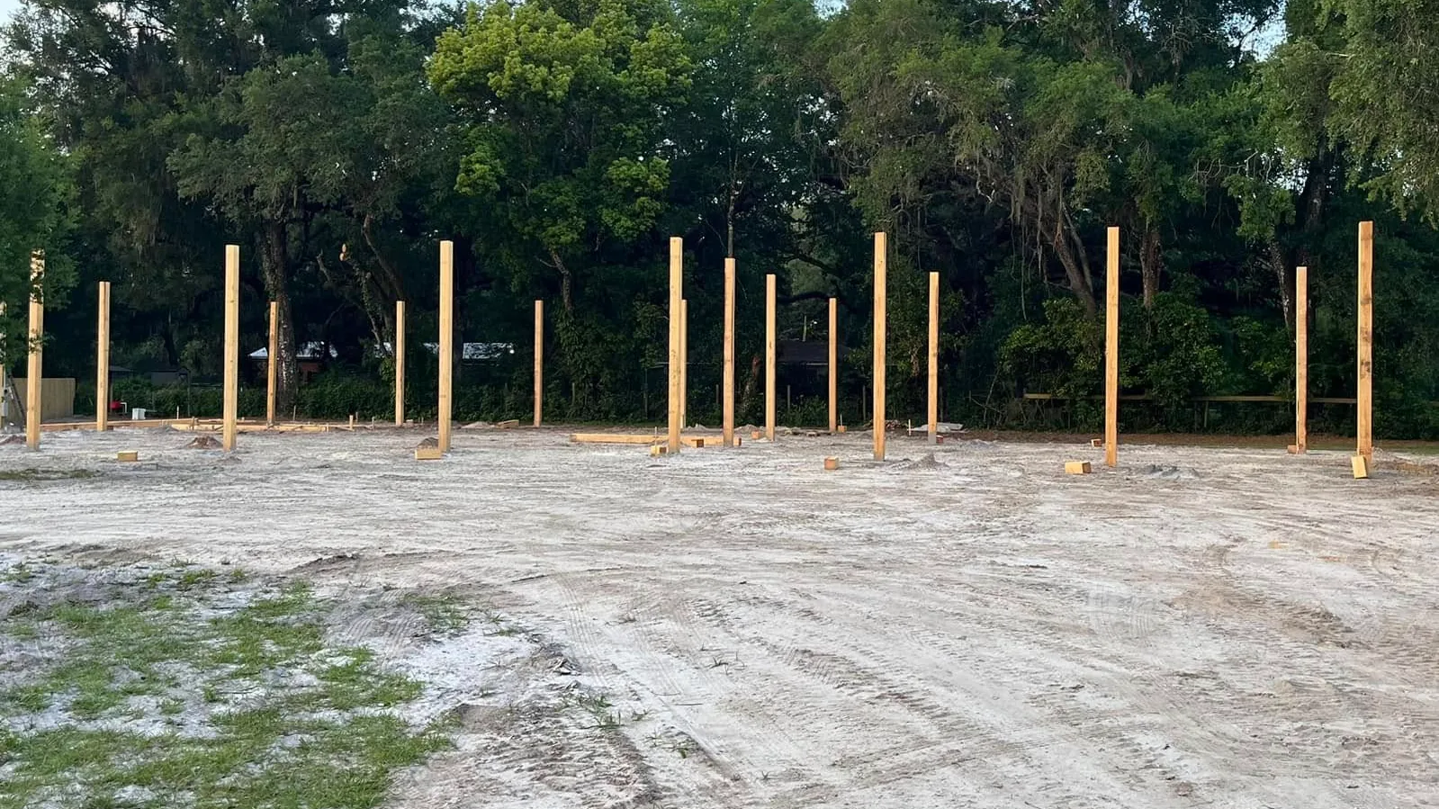 Posts set on a graded sand pad for a new barn under oaks