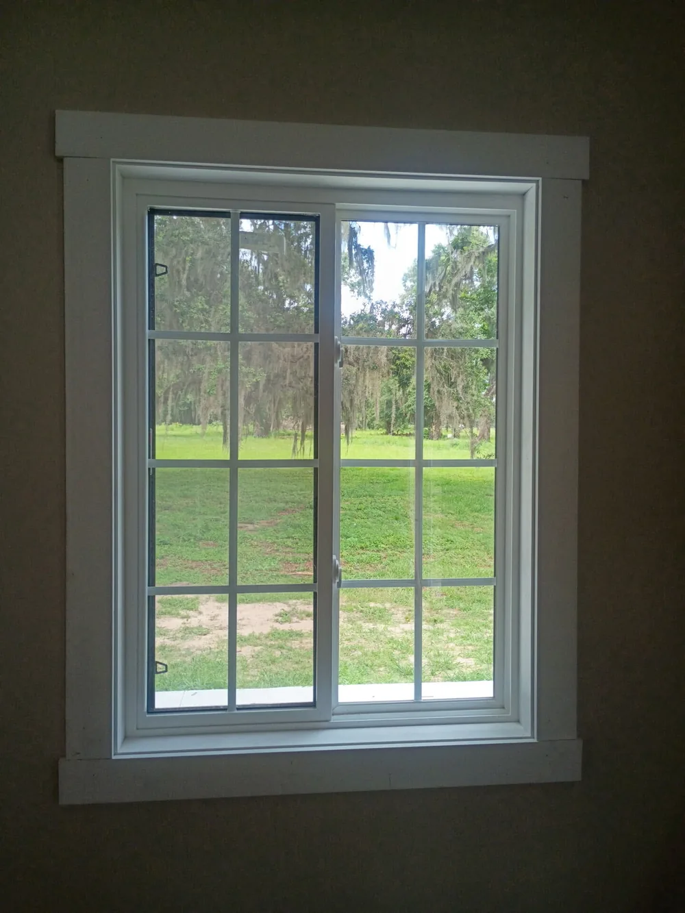 New grid window with painted trim looking out at live oaks