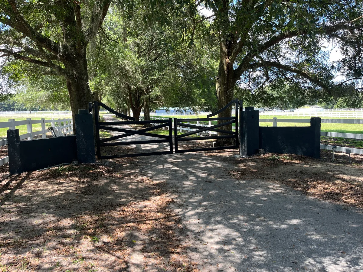 Black double driveway gate with white board fence under a live oak alley