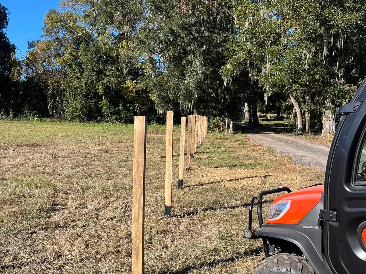 New fence posts set in a line along a pasture beside an oak lined drive